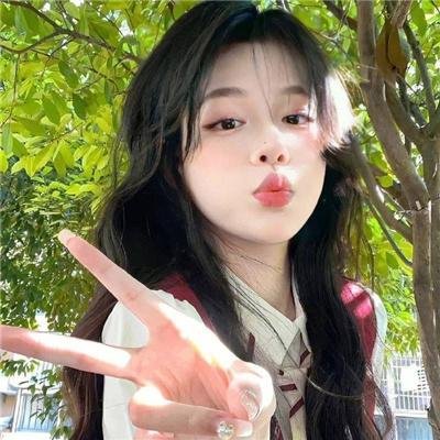 美国派:高潮再起